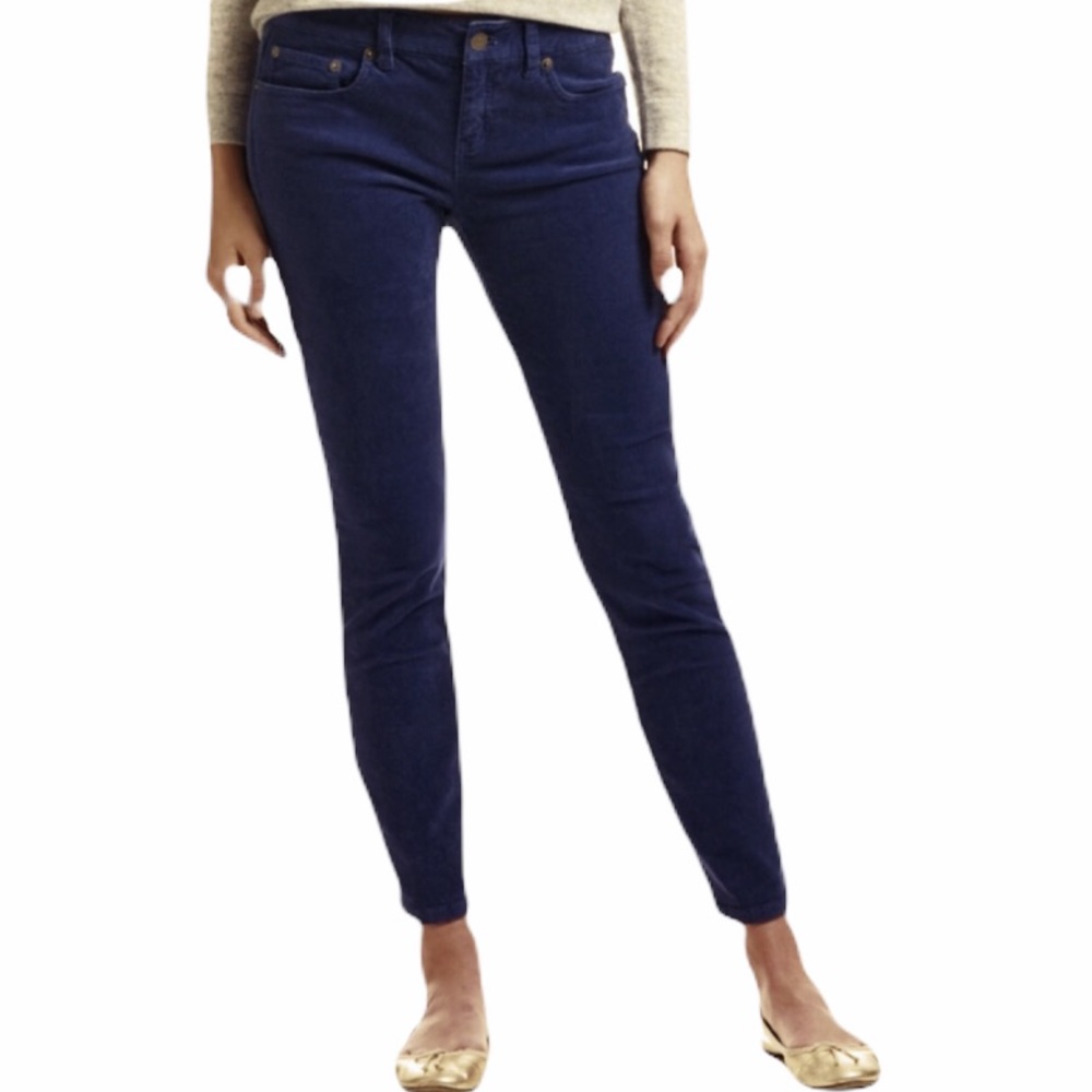 Vineyard Vines Blue/Purple Corduroy Ankle Pants 6
